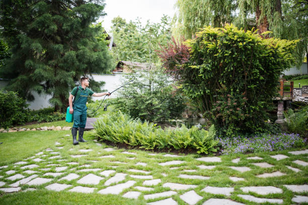 Best Best Pest Control Companies  in East Lake, FL