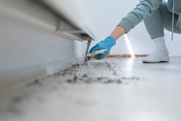 Best Best Pest Control Companies  in East Lake, FL